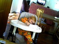 Snapshot_20110803_1.jpg