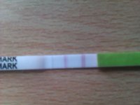 2011-09-14 18.40.03.jpg