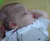Ridley 10wks 4.jpg
