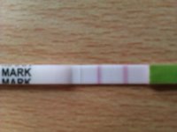 2011-09-15 11.42.59.jpg