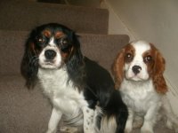 camera photos 228.jpg