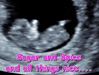 gender reveal pink.jpg