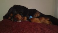 10092011080.jpg