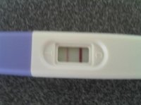 2011-09-18_11-06-31_616.jpg