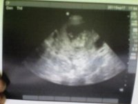 Snapshot_20110918_5.jpg