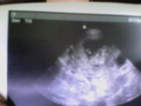 Snapshot_20110918_6.jpg
