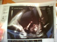 scan1.jpg