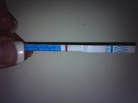 10dpo 2.jpg