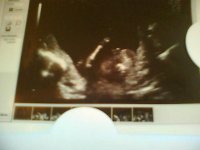 scan2.jpg