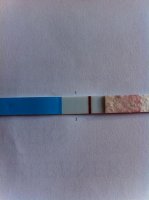 20-9-11.jpg