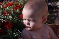 IMG_3716.jpg