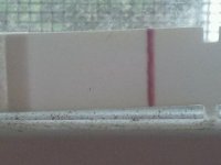 PART_1316731480005.jpg