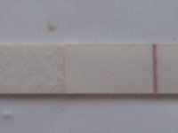 PART_1316731608199.jpg
