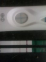 IMAG0839.jpg