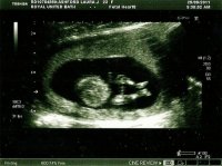 scan0004.jpg