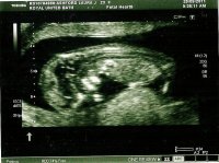scan0001.jpg