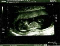 scan0006.jpg