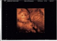 3dUS23w4d.face.2.jpg