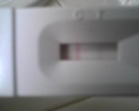 opk16.jpg
