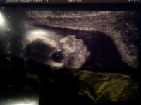 monster 19wks.jpg