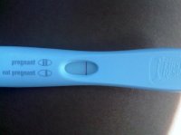 10DPO2.jpg