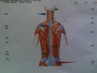spinepulltension.jpg
