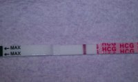 IMAG0159.jpg