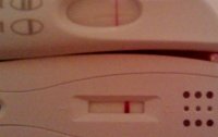 IMAG0870.jpg