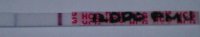 12dpo.jpg