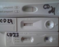 $frer.jpg