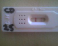 opk25.jpg