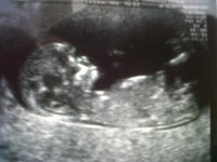 IMG01306-20111007-1050.jpg