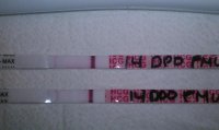 IMAG0208.jpg