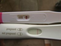 FRER.jpg