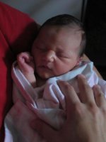 Zoey 1 day old.jpg