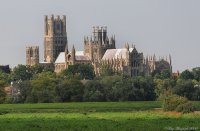 fens.jpg