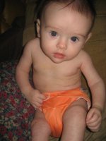 IMG_2992.jpg