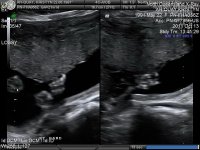 21cweek0031.jpg