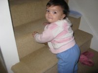 IMG_4445.jpg