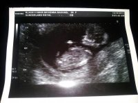 scan1.jpg