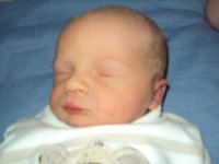 DSC00172.jpg