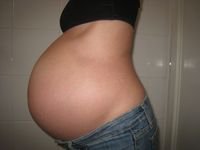 belly 1.jpg