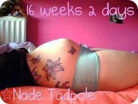 16wk2b.jpg
