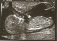 17-10-2011 12;03;01.jpg