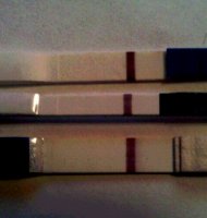 IMG_20111017_202008_edit0.jpg