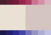 colour palette.jpg