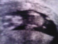 SP_A0104.jpg