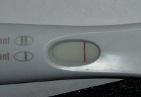 frer.jpg