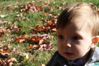 Jaxon_192[1].jpg