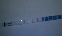 cd18opk6pm.jpg